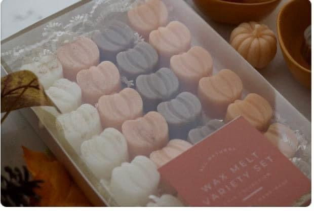Wax Melt Variety Set